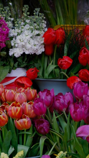 A vibrant display of fresh flowers arranged for flower delivery or gifting at Bethnal Green Florist. In the foreground, there are clusters of pink and orange tulips with smooth, rounded petals and gre